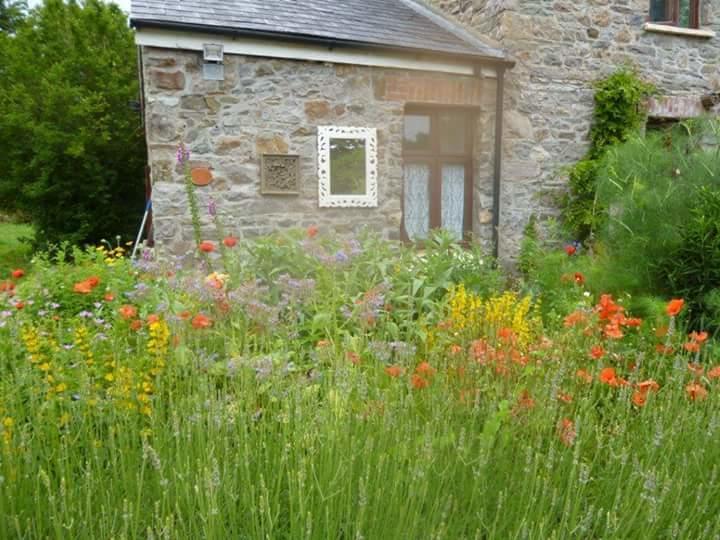 Middle Mill Bed and Breakfast Kidwelly Esterno foto