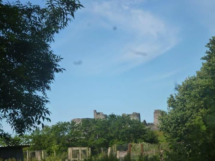 Middle Mill Bed and Breakfast Kidwelly Esterno foto